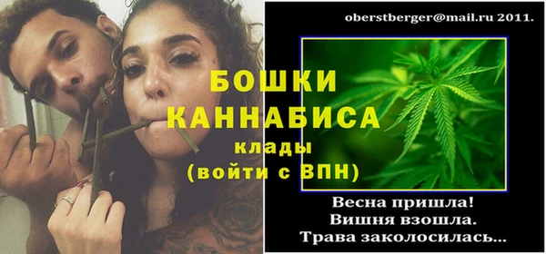 ГАЛЛЮЦИНОГЕННЫЕ ГРИБЫ Белоозёрский